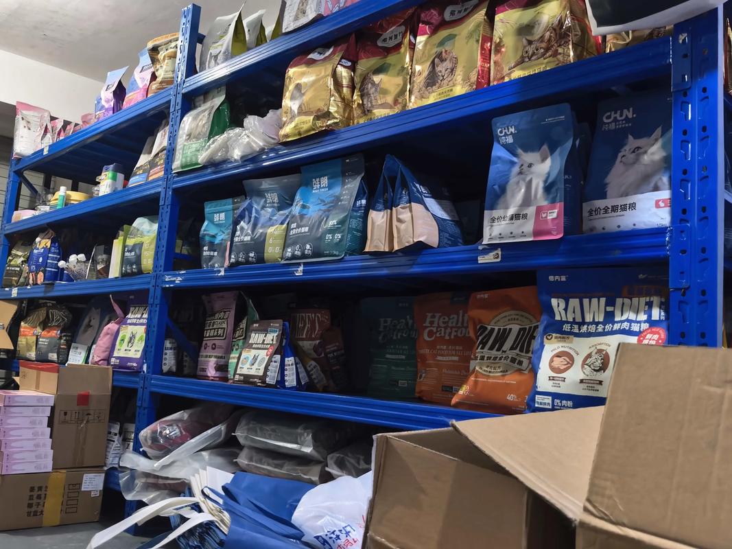 不是随便开的宠物用品店，是养出了宠物饲养的深度哲学